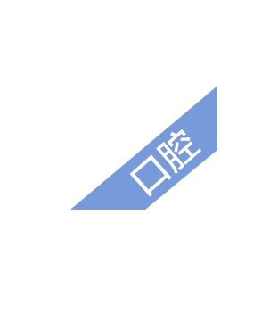 口腔
